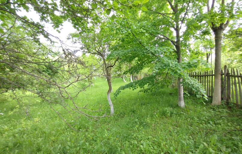 TEREN 1000 mp Comarnic/Ghiosesti/de vanzare