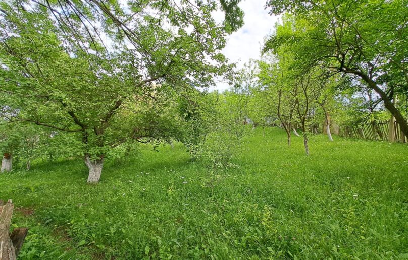 TEREN 1000 mp Comarnic/Ghiosesti/de vanzare