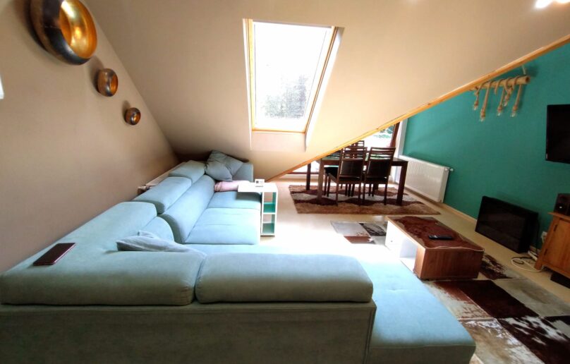Apartament cochet cu potential turistic!