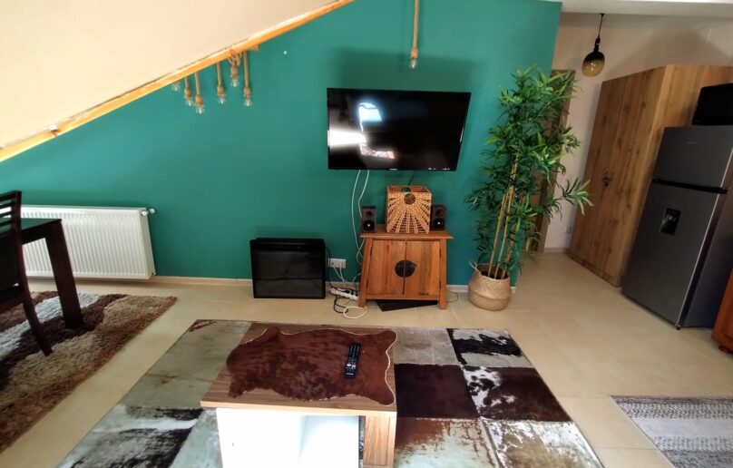 Apartament cochet cu potential turistic!