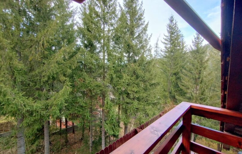 Apartament 3 camere, structurat pe 2 niveluri, la 10 min. de centrul orasului Sinaia