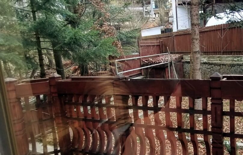 Vila eleganta, refugiu de relaxare si verdeata in Sinaia