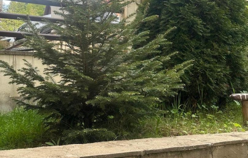 Garsoniera mobilata/utilata, de vanzare in Sinaia / zona Furnica