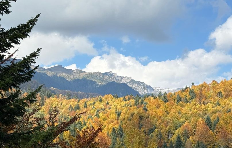 Apartament pe 2 niveluri, terasa si priveliste directa catre munte!
