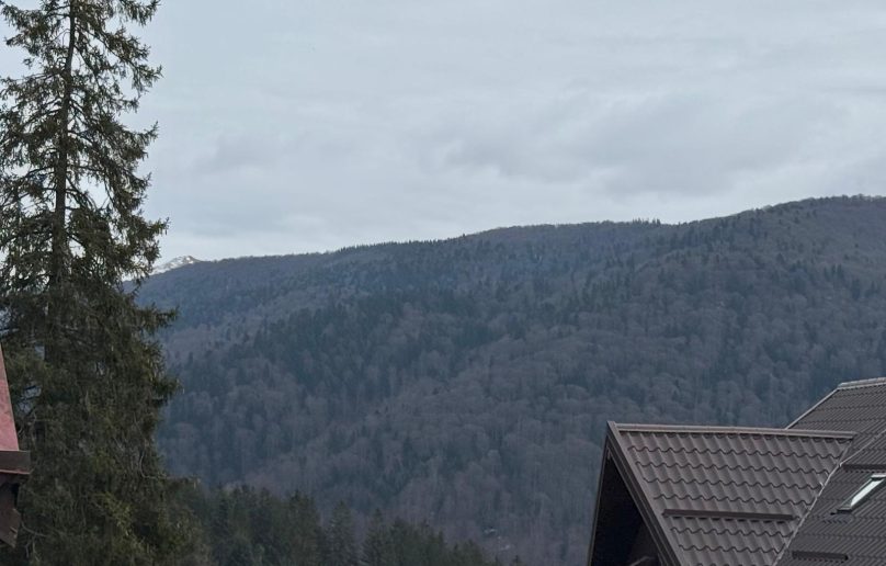 Garsoniera mobilata/utilata, situata in Sinaia, zona Furnica!