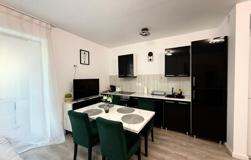 Apartament tip-Studio, elegant/modern, de vanzare in Sinaia