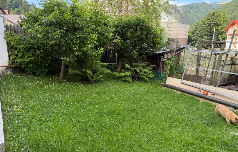Apartament in CASA, plus curte/parter/ Sinaia-zona CENTRALA