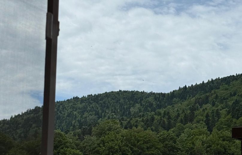 Studio modern, complet mobilat si utilat, cu balcon/et.2, Sinaia